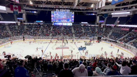 Teddy Bear Toss
